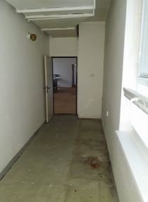 Náhodná fotogalerie