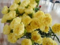 Náhodná fotogalerie