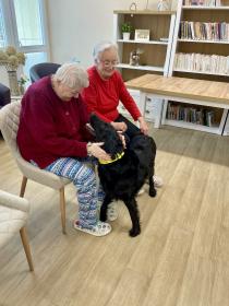 Náhodná fotogalerie