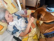 Náhodná fotogalerie